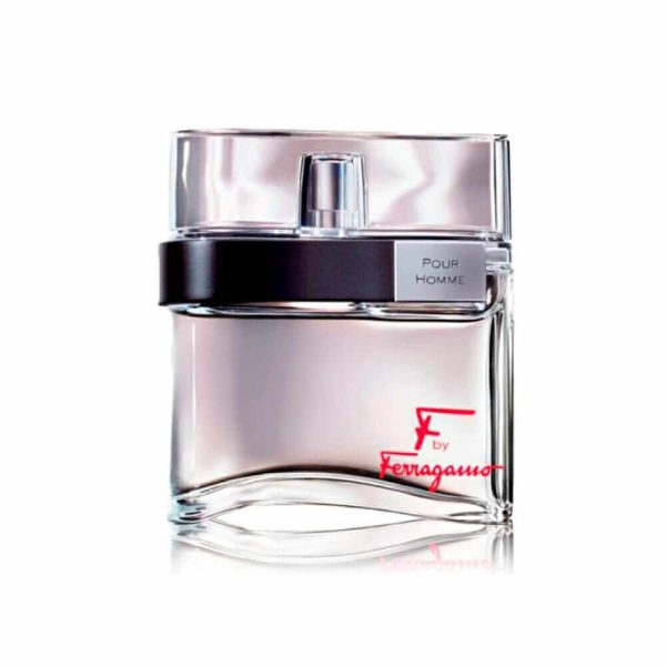 Perfume F De Ferragamo Pour Homme de Salvatore Ferragamo 100 ml (frasco)
