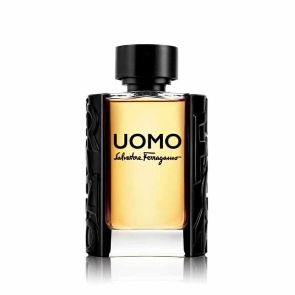 Perfume Uomo Salvatore Ferragamo 100 ml (frasco)